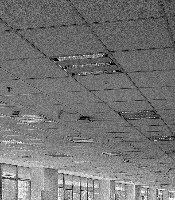 A grainy, black and white photo of a suspended tiled office ceiling with fluorescent lights.