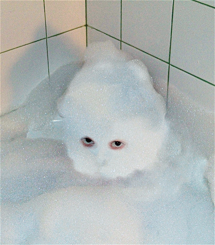 A figure covered in foam except for their eyes sits neck-deep in a bathtub and peers into the camera. They are surrounded by white and green tiled walls.