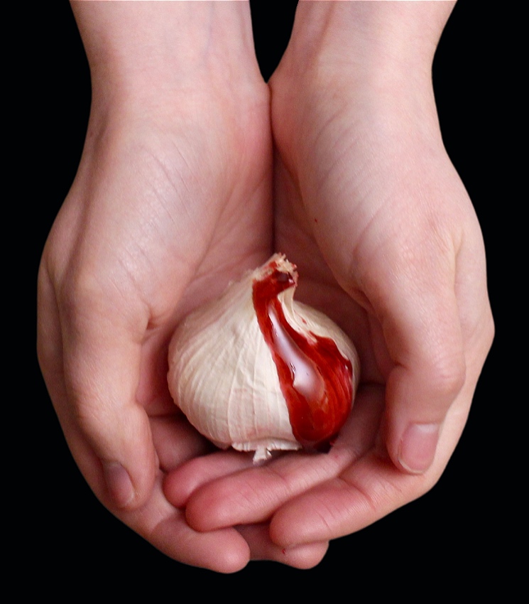 Hands cup a bulb of garlic with blood dripping from it. Black background.