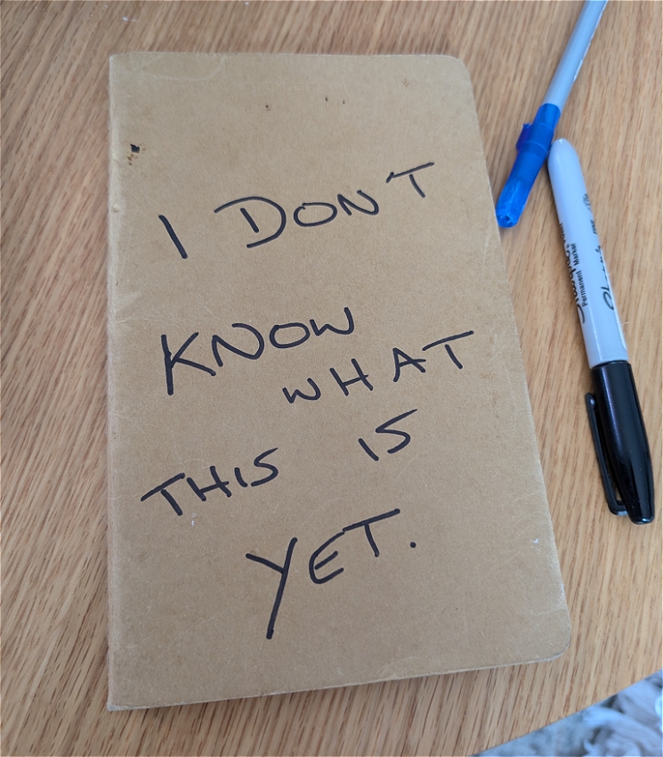 Piece of Card Paper with the words: I DON'T KNOW WHAT THIS IS YET. 

Written in black sharpie.