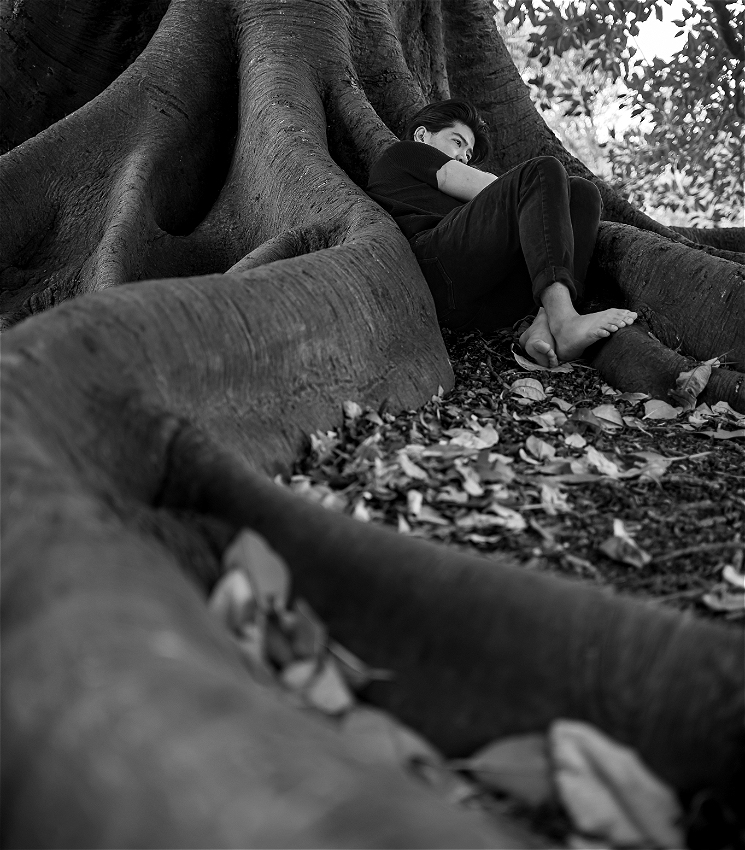 A black-and-white photograph of an expansive and intricate banyan tree. The tree's numerous roots and branches create a dense, almost maze-like network, giving the scene a mysterious and ancient feel. Sunlight filters through the canopy, casting dappled shadows on the ground and highlighting the tree's textured bark and entwined roots.