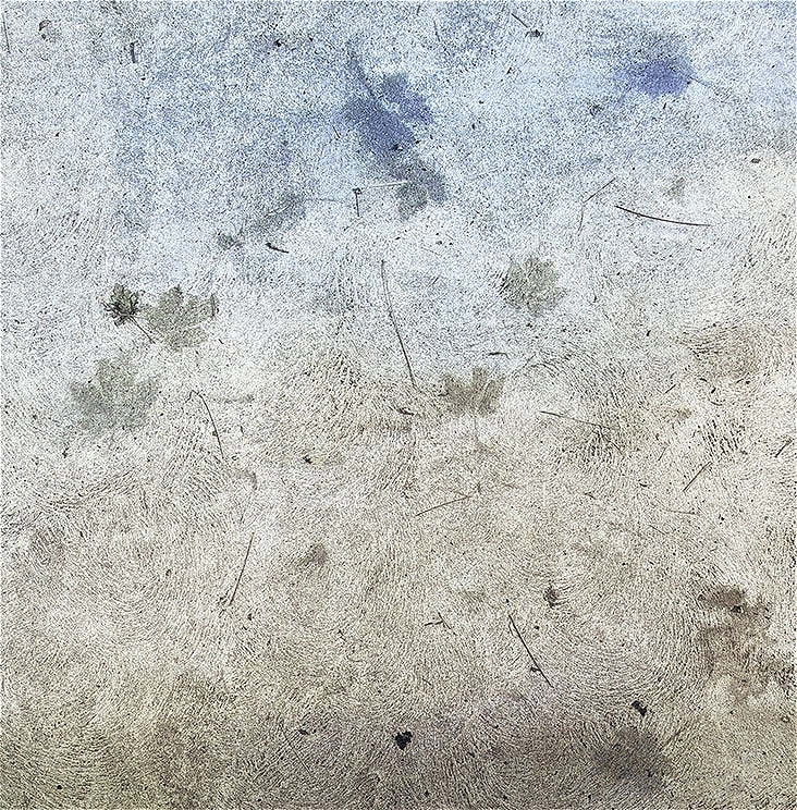 leaf imprints on concrete